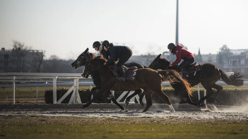 Plusieurs chevaux au galop lors d'une course à l'hippodrome