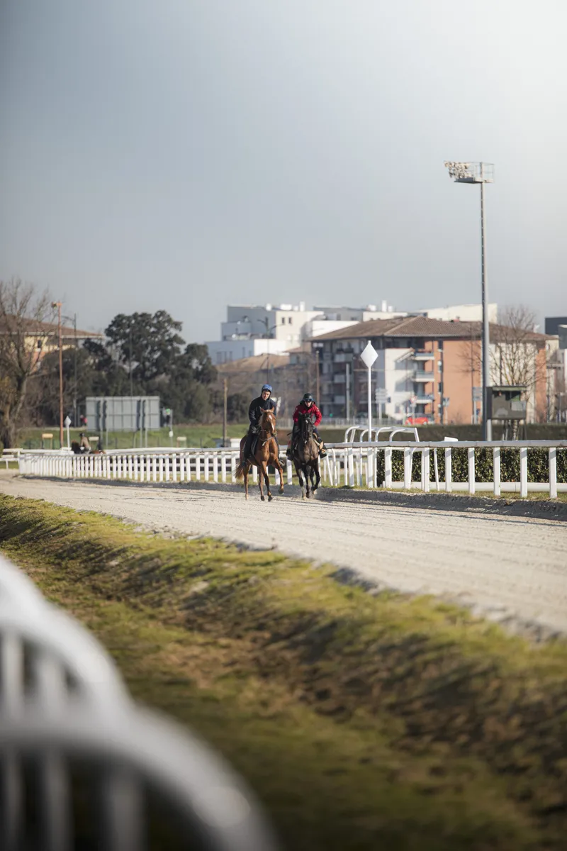 Deux cavaliers à cheval au galop sur une piste d'hippodrome