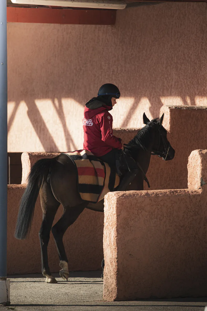 Cavalière guidant son cheval devant un mur en terre cuite