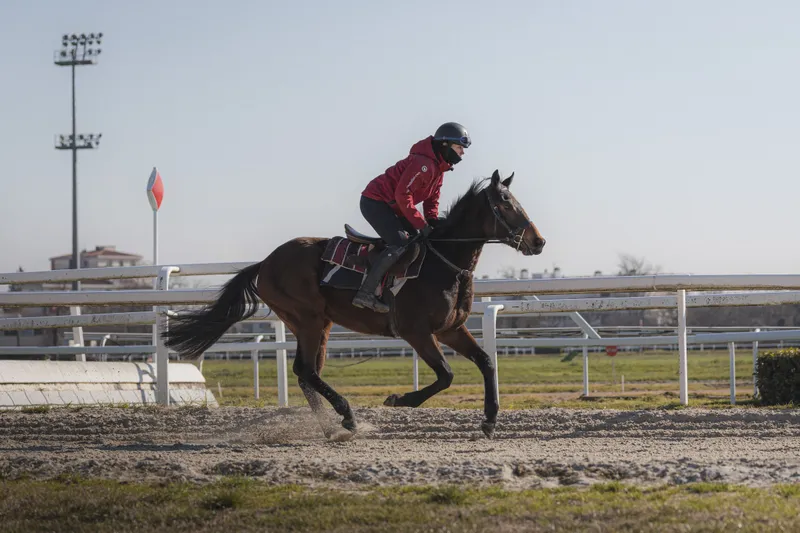 Cavalière au galop sur la piste d'un hippodrome