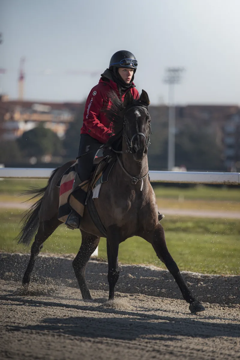 Cavalière en tenue rouge sur un cheval au galop sur une piste
